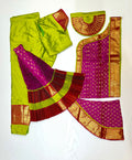Professional Light Green and Pink Baratnatyam costume