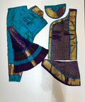 Professional Bharatnatyam Costume Light Blue with Dark Blue